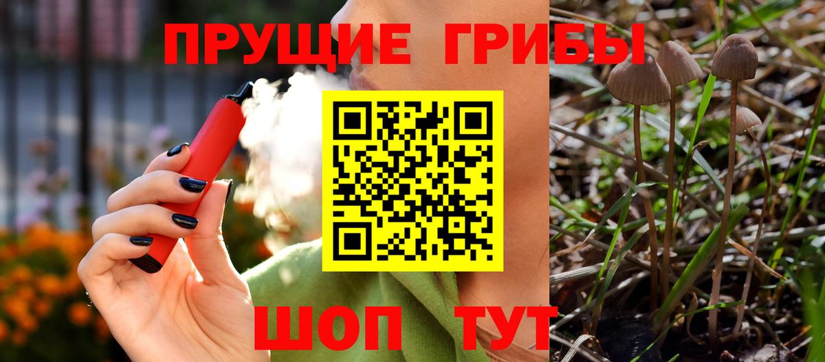Галлюциногенные грибы мухоморы  купить   Реутов  Вход с VPN 